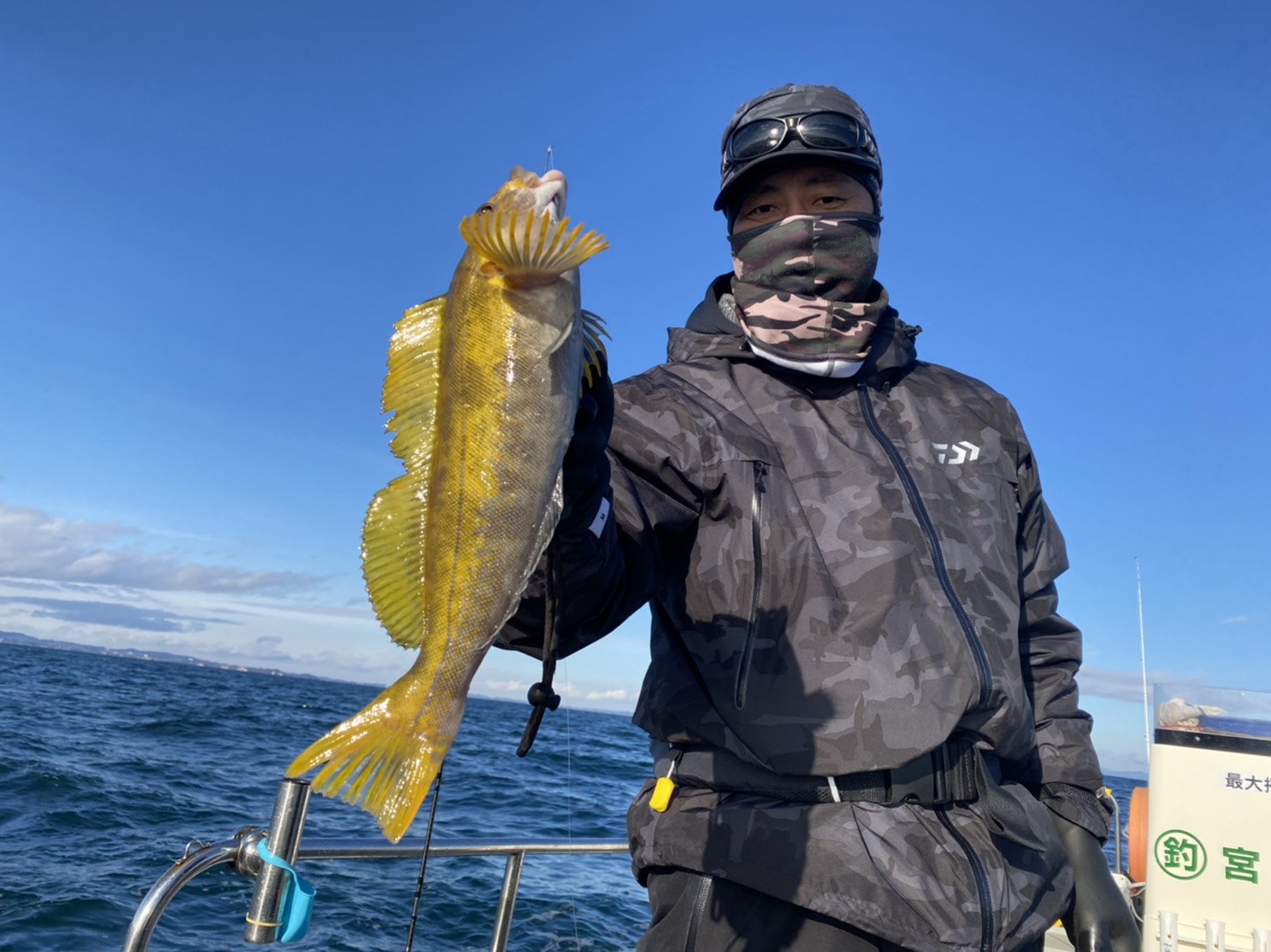 ライトジギング五目