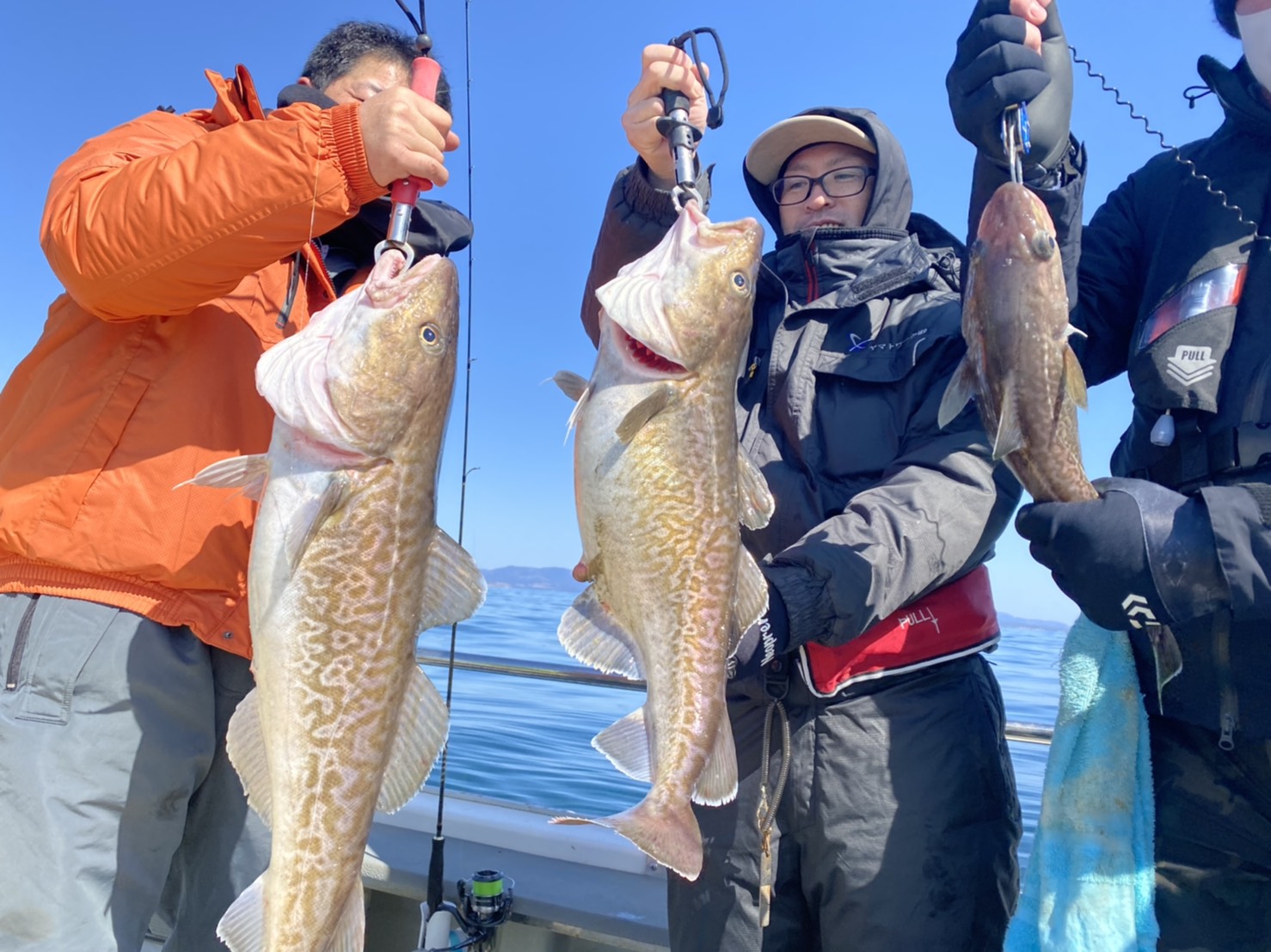 遠征ディープロック五目