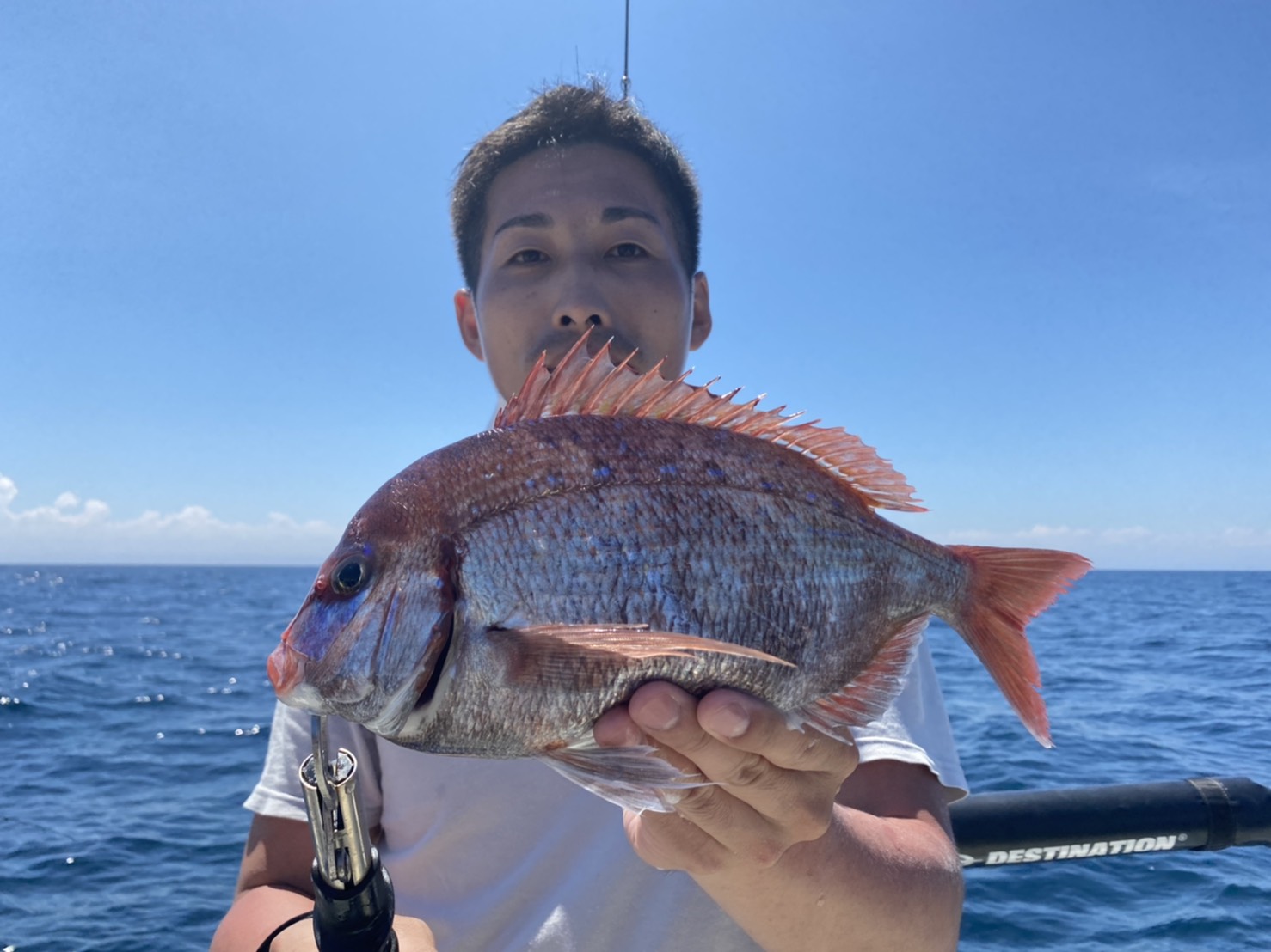 マダイ狙いライトジギング五目