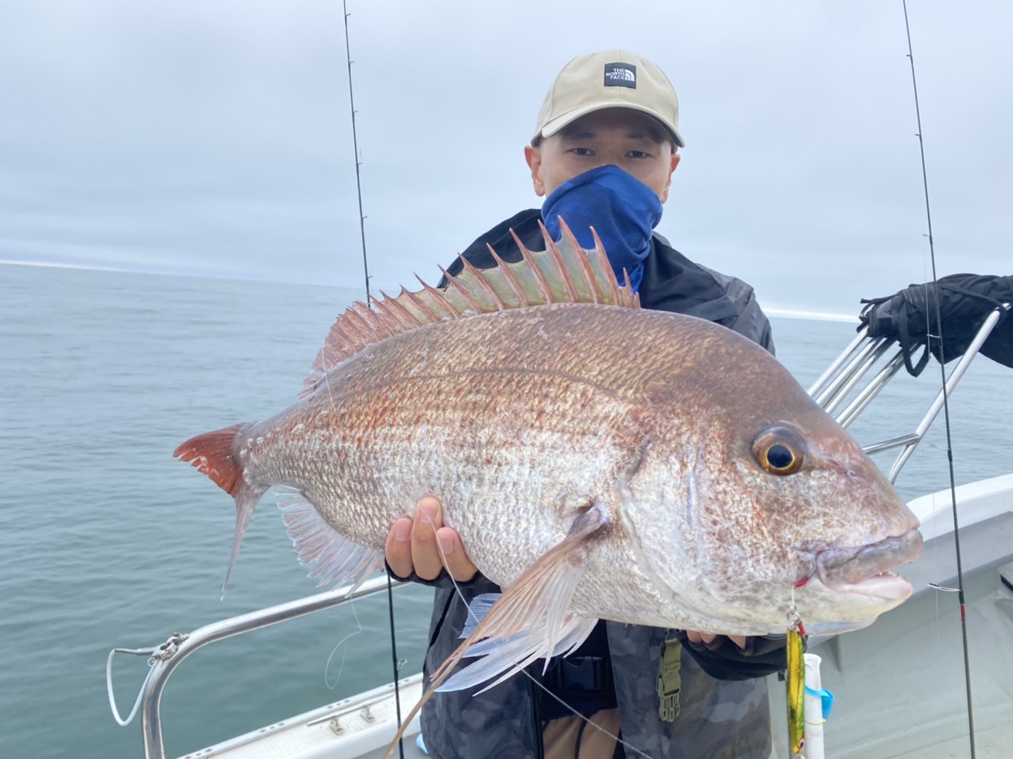 マダイ狙いライトジギング五目