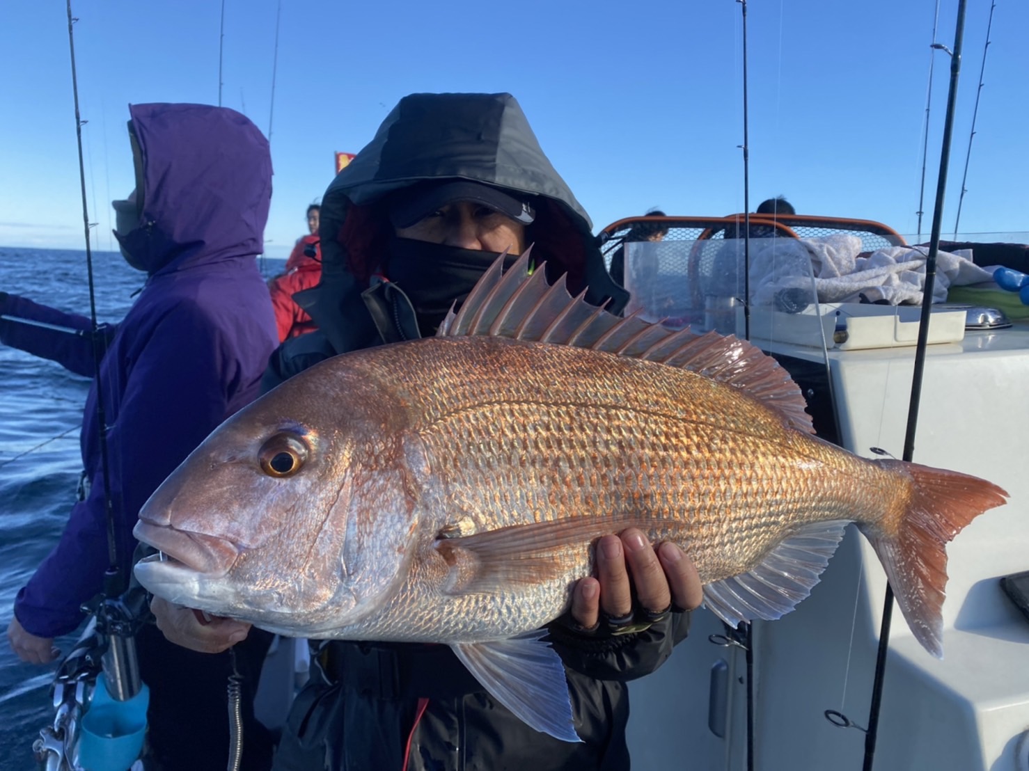 マダイ狙い五目