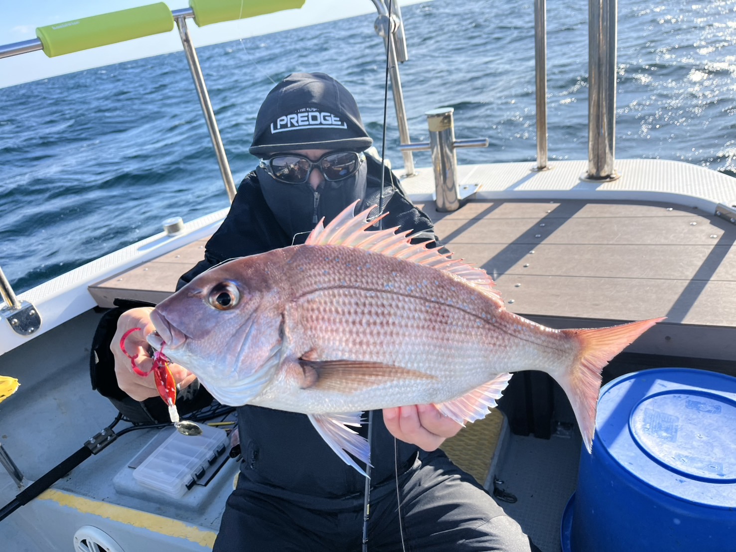 真鯛五目調査！