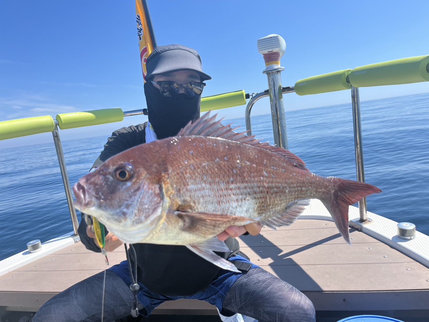 遠征真鯛調査釣行