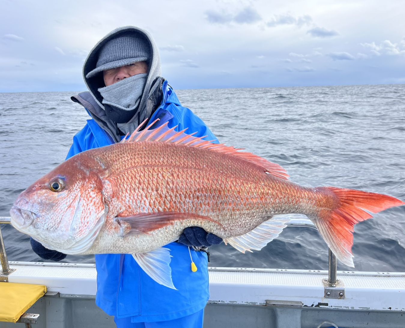 ベストフィッシュ