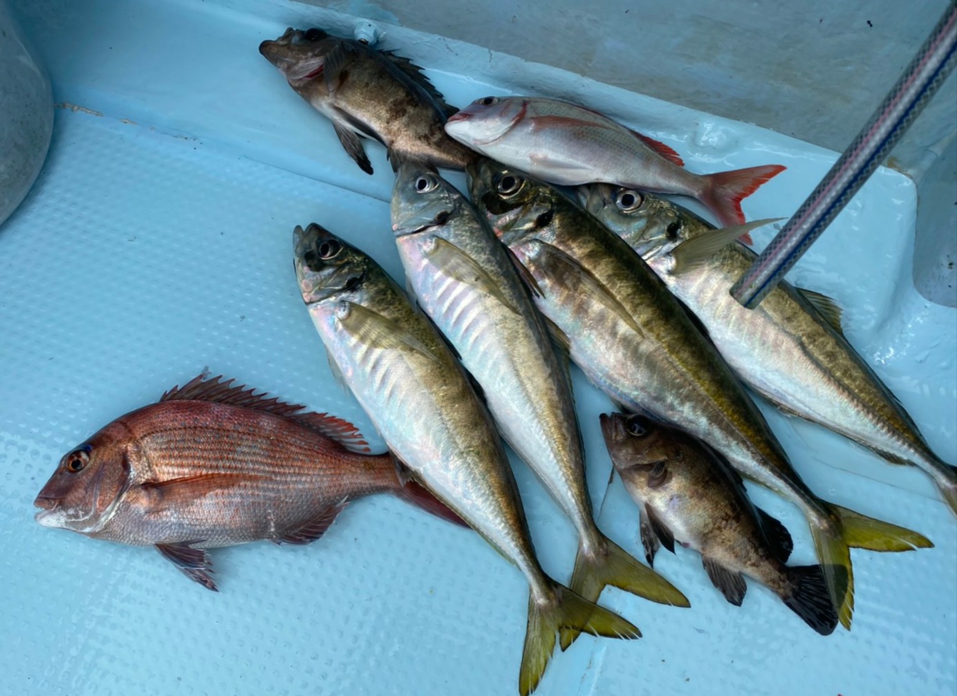 プライベート アジビシ釣行(閖上蔵王丸)