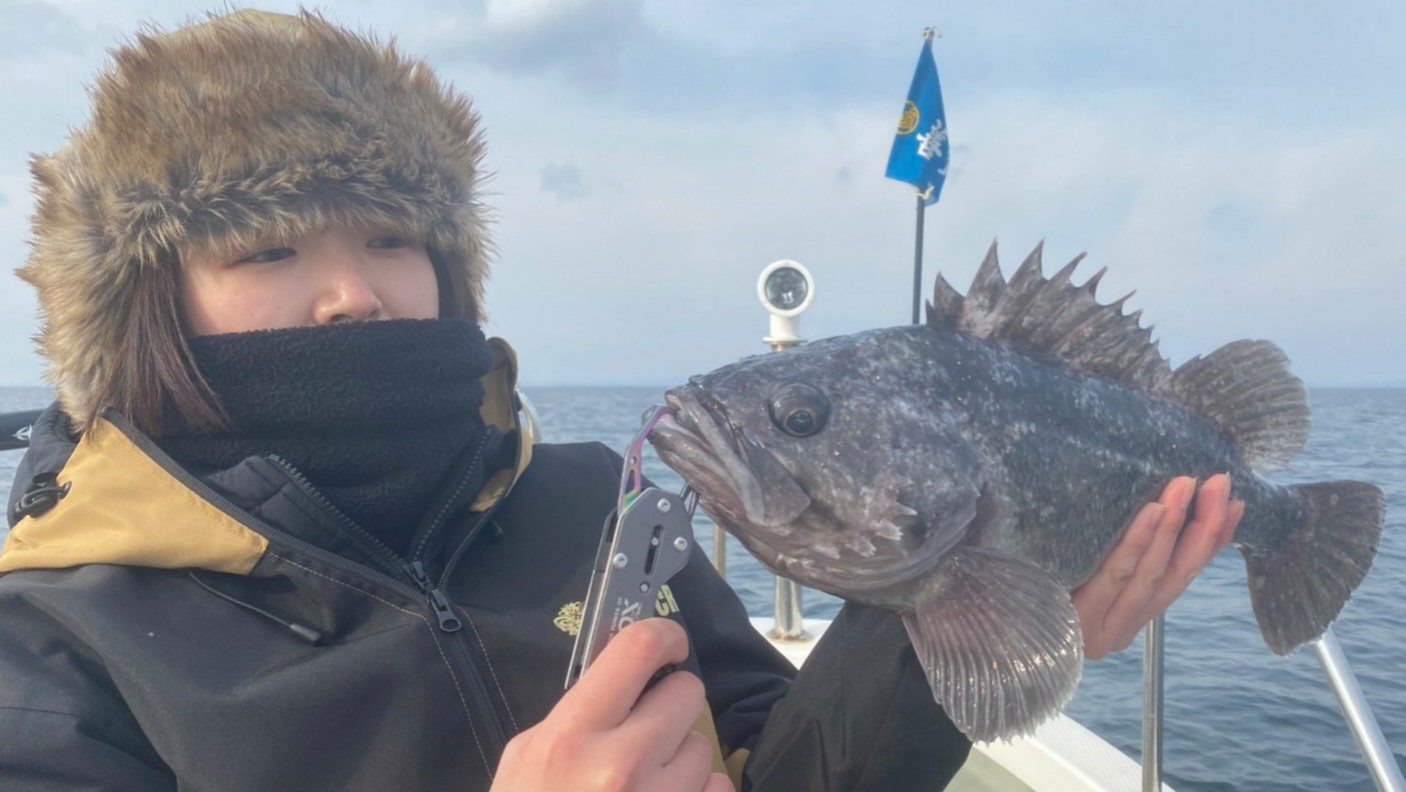 ライトジギング五目