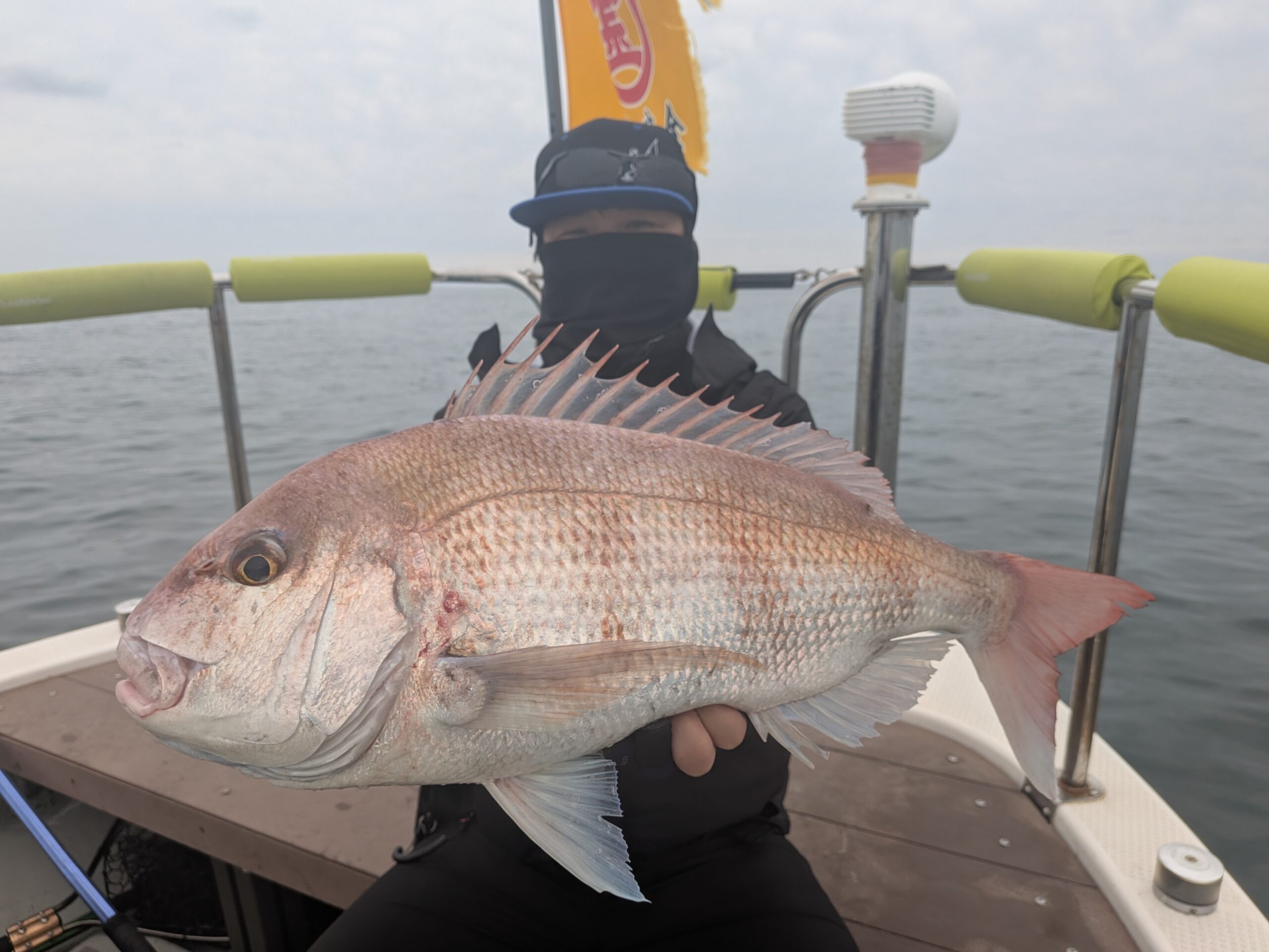 遠征真鯛狙い五目